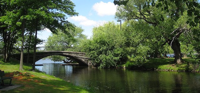 charles river bridge surrounded by summer trees and a flowing river.