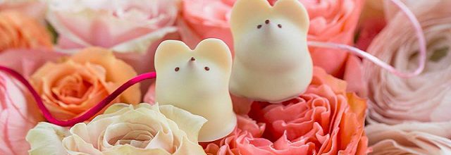 Two white chocolate mice from L.A. Burdick sitting on pink roses.