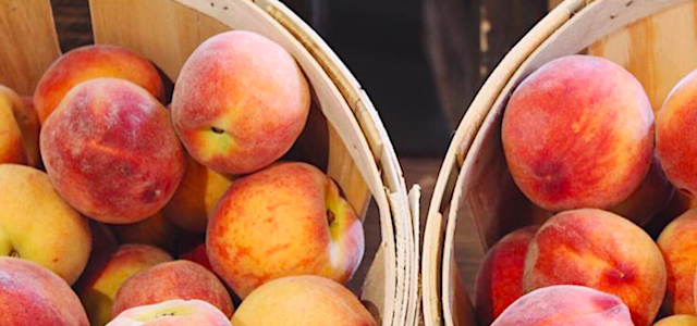 baskets of peaches