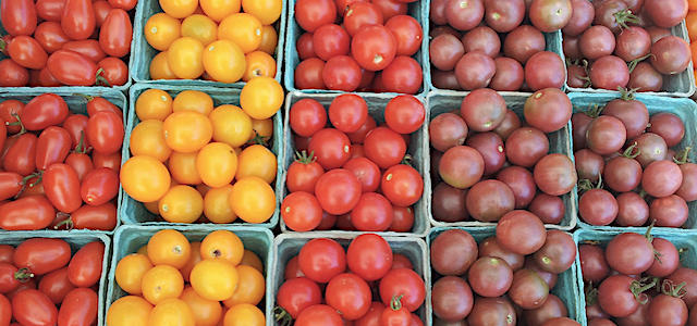 colorful tomatoes 